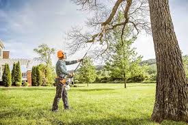 Best Grass Overseeding  in Greenwood, SC